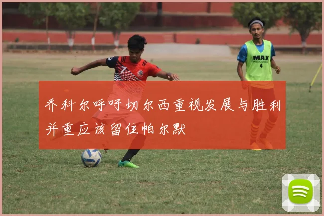 乔科尔呼吁切尔西重视发展与胜利并重应该留住帕尔默