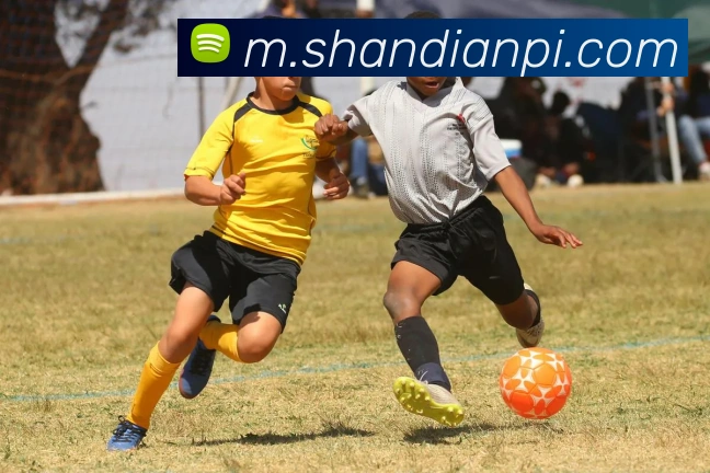 b体育网页品牌故事