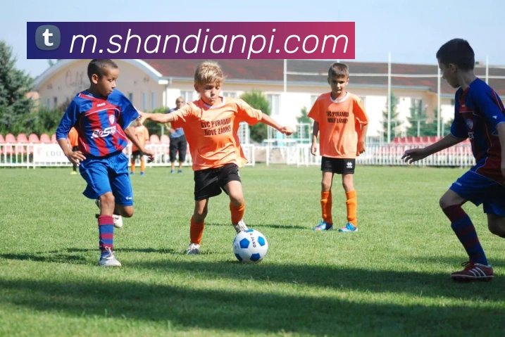 b体育网页服务体系